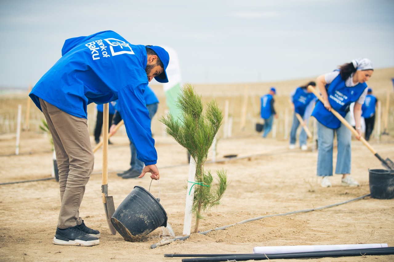 Bank of Baku-dan yaşıl təşəbbüs – növbəti ağacəkmə aksiyası keçirildi